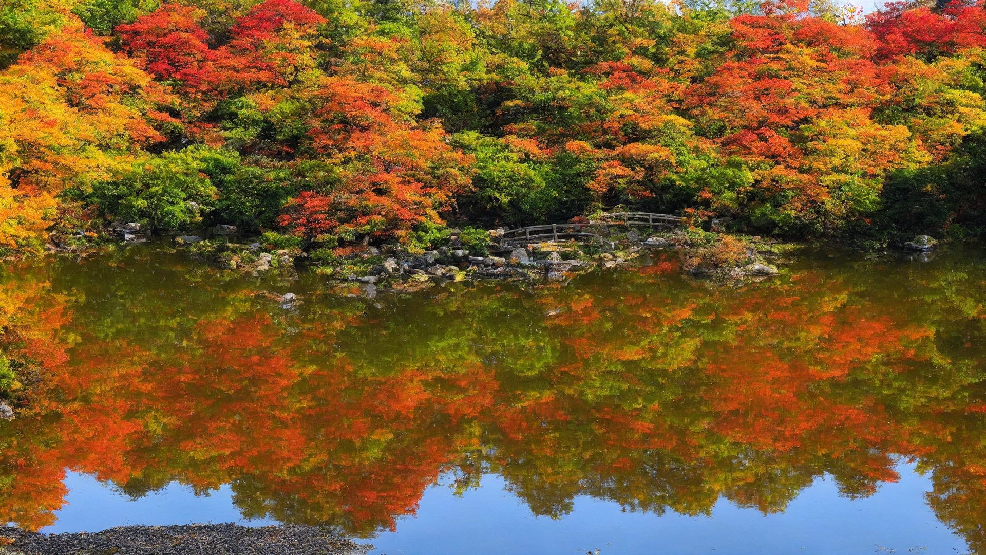 00054-1600086049.jpg  (697.1 Kb)