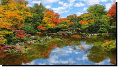 00056-1600086051.jpg  (625.3 Kb)