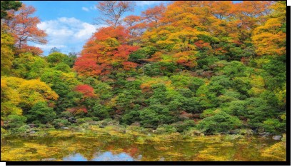 00062-1600086057.jpg  (744.9 Kb)